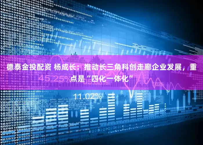 德泰金投配资 杨成长：推动长三角科创走廊企业发展，重点是“四化一体化”