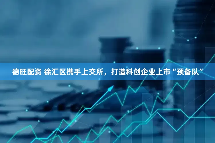 德旺配资 徐汇区携手上交所，打造科创企业上市“预备队”