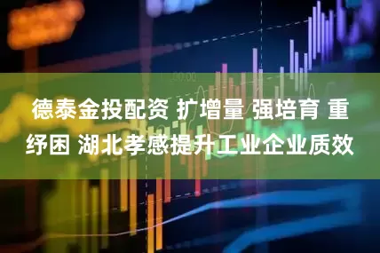 德泰金投配资 扩增量 强培育 重纾困 湖北孝感提升工业企业质效