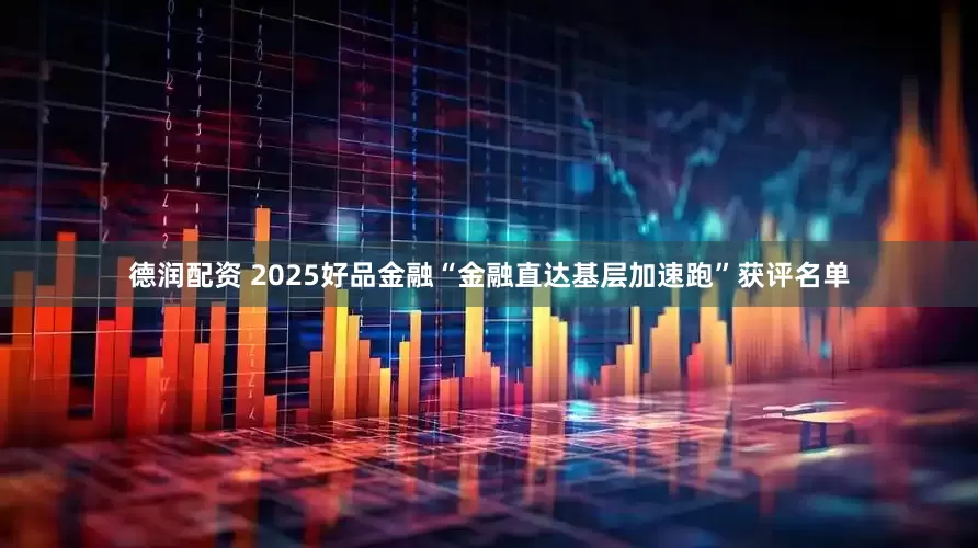 德润配资 2025好品金融“金融直达基层加速跑”获评名单