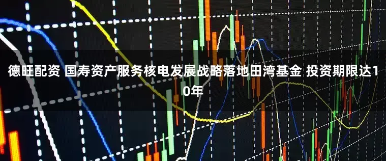 德旺配资 国寿资产服务核电发展战略落地田湾基金 投资期限达10年
